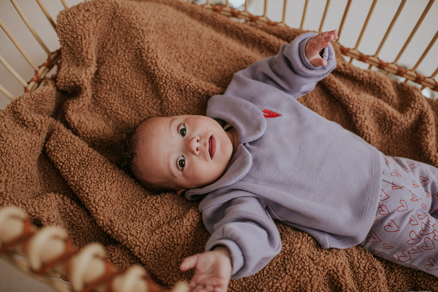 Sproet & Sprout - Baby sweatshirt girls lavender