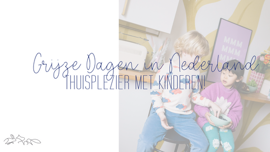 Grijze Dagen in Nederland: Thuisplezier met Kinderen! 🌧️