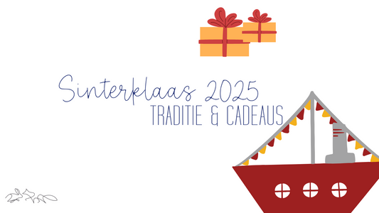 De 10 Beste Sinterklaas-Cadeaus voor Kinderen Onder de 10 Jaar in 2025 + Magische Tradities