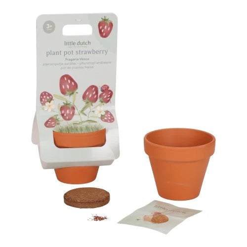 Little Dutch - Plantenpotje | Aardbei