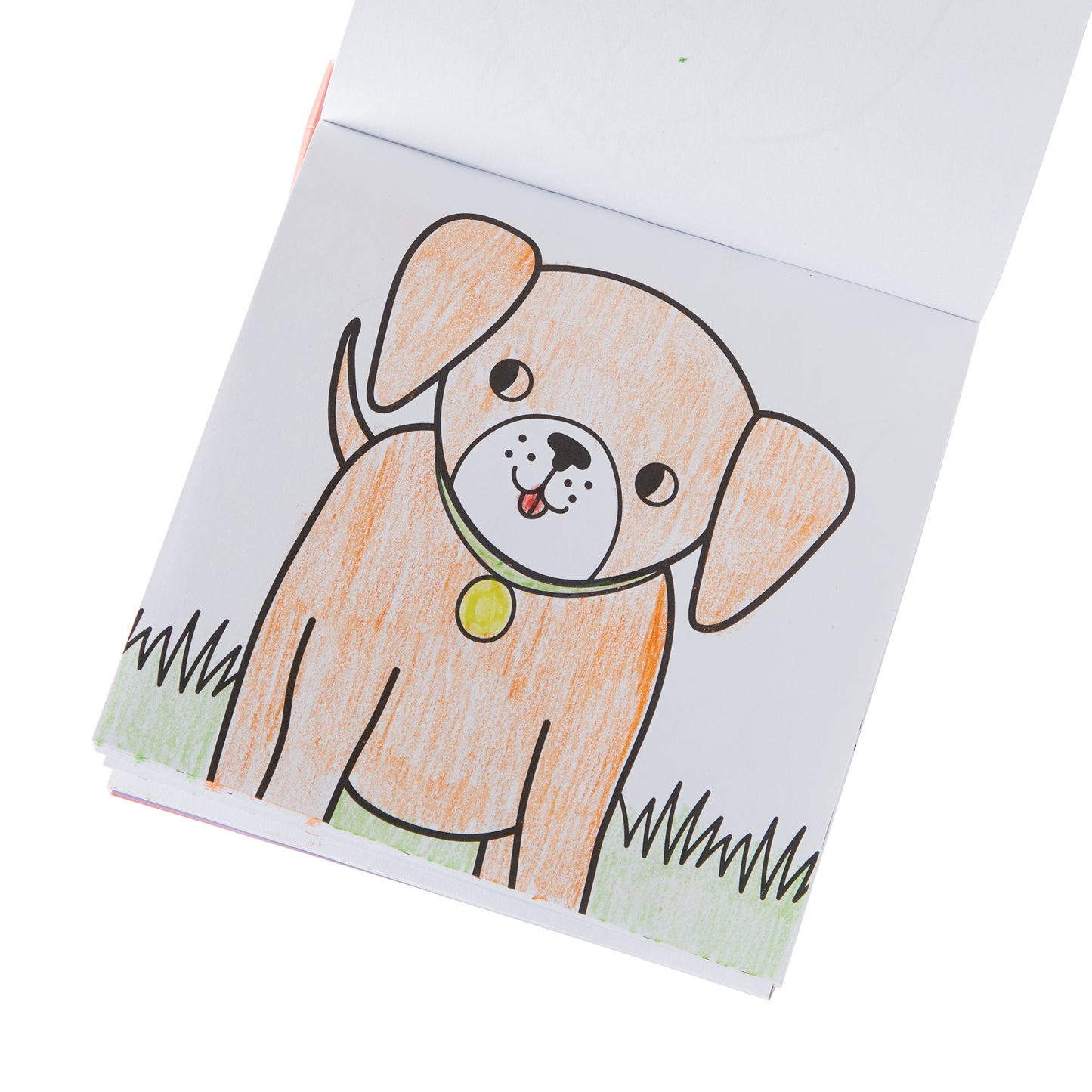 OOLY - Carry Along Kleurboek Set Pet Pals | Kleurboek met 9 Waskrijtjes