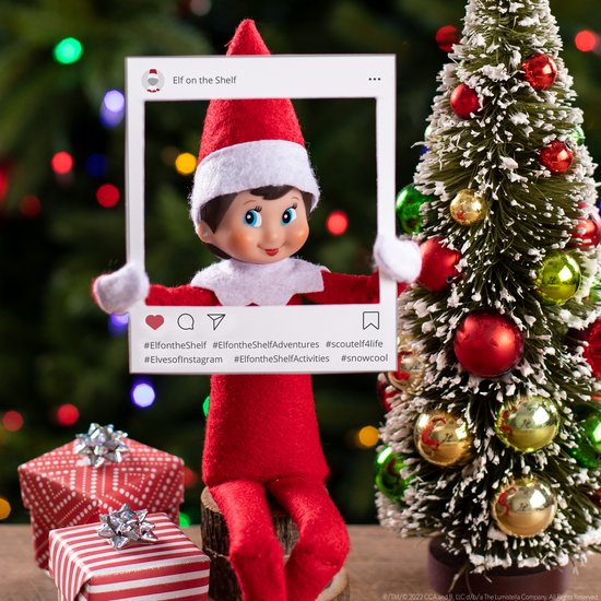 The Elf on the Shelf - Cadeau Set | Meisje Nederlandstalig | Scout Elf Pop | Softcover Verhaalboek | Adoptiecertificaat