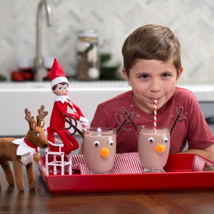 The Elf on the Shelf - Cadeau Set | Jongen Nederlandstalig | Scout Elf Pop | Softcover Verhaalboek | Adoptiecertificaat