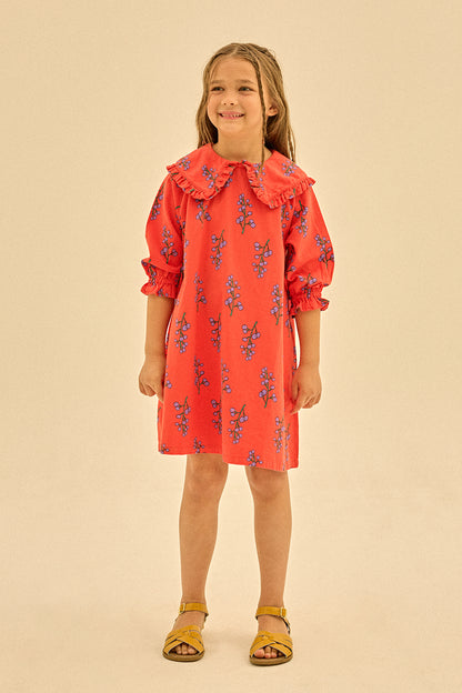 Jelly Mallow - Berry Collar Dress