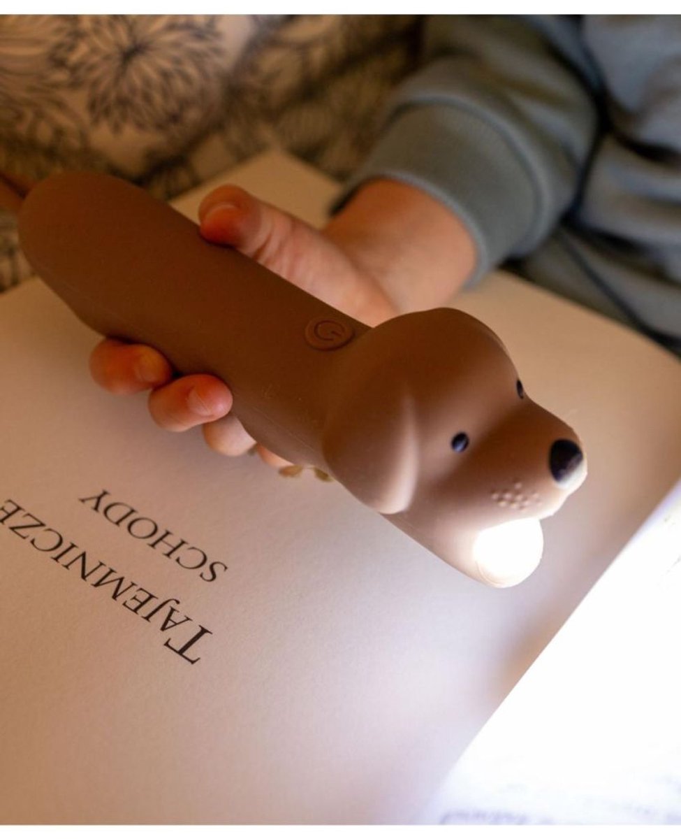 Rabbit & Friends - Zaklamp Buddy Hond