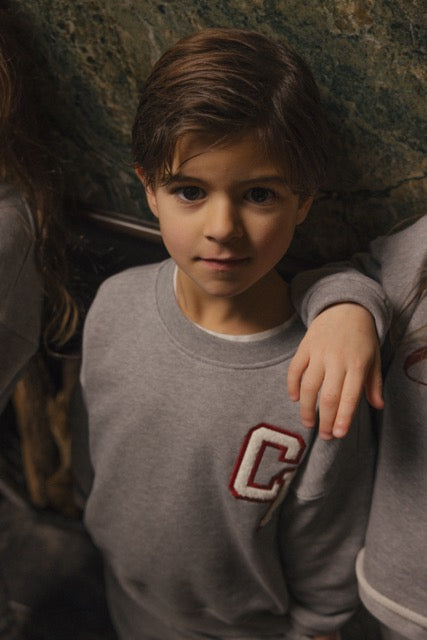 Charlie Petite - Jackson Sweater Grey Melange
