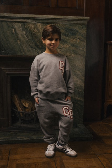Charlie Petite - Jackson Sweater Grey Melange