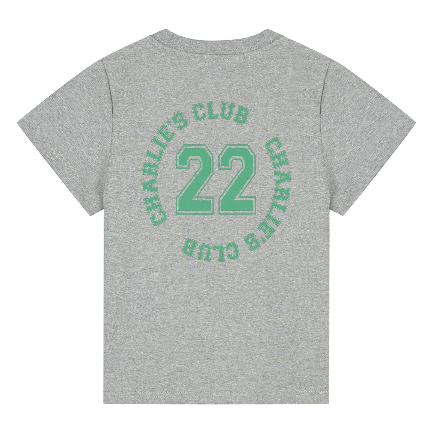 Charlie Petite - Luc T-Shirt Grey Melange