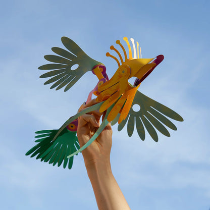 Clixo - Tropical Bird | Set van 24