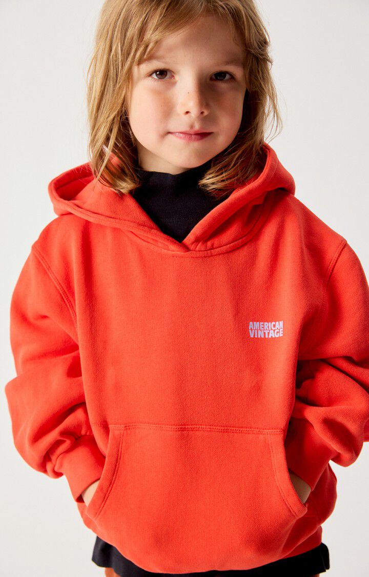 American Vintage - Izubird Hoodie | VINTAGE LIEFDE