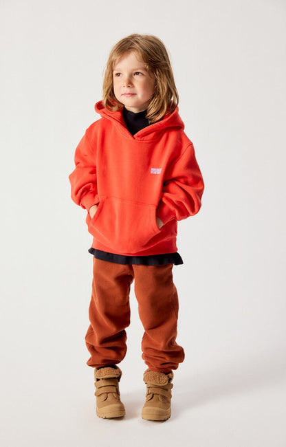 American Vintage - Izubird Hoodie | VINTAGE LIEFDE