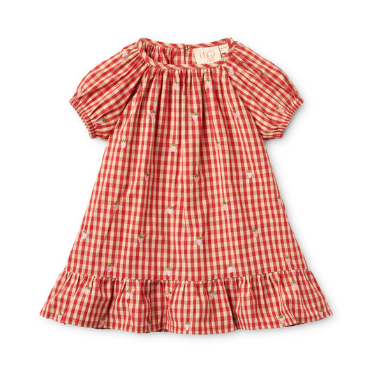 Flöss - Molly Pineberry Dress Red Pink Berry Gingham voor Baby’s en Meisjes