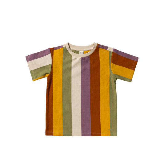 Salted Stories - Multi Stripe | Regular Tee