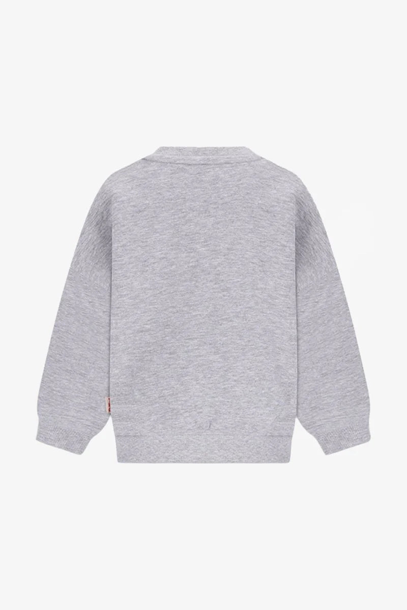 The New Chapter - Billie Sweater | Wild at Heart Grijs