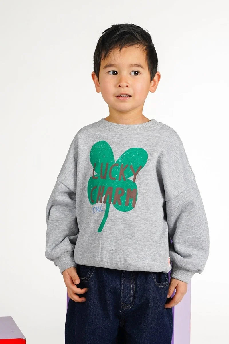 The New Chapter - Billie Sweater | Wild at Heart Grijs