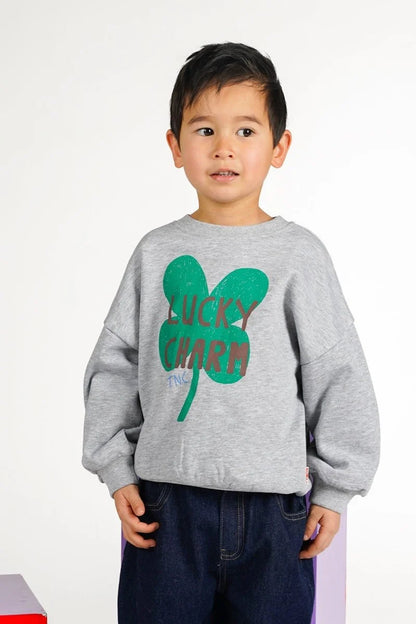 The New Chapter - Billie Sweater | Wild at Heart Grijs