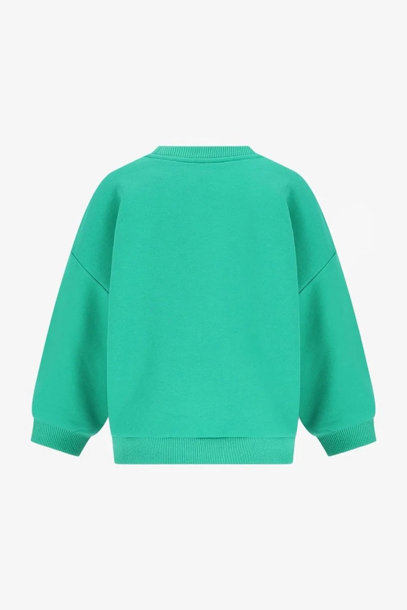The New Chapter - Billie Sweater | Wild at Heart Groen
