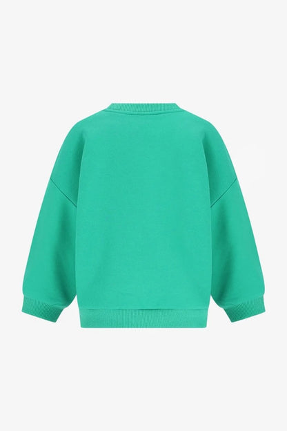 The New Chapter - Billie Sweater | Wild at Heart Groen