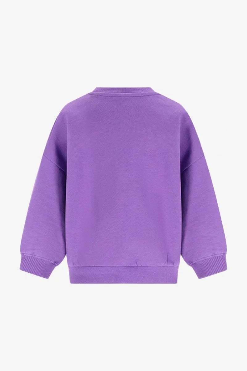 The New Chapter - Billie Sweater | Wild at Heart Paars