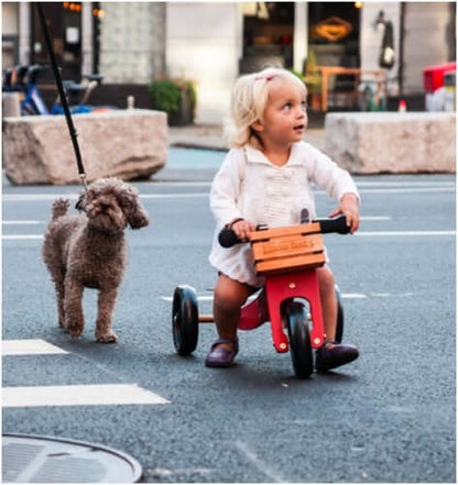 Kinderfeets houten fietskrat