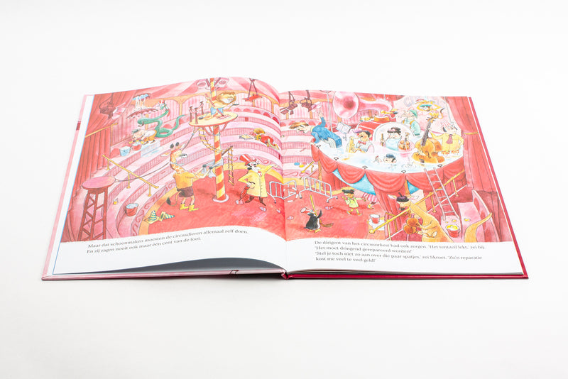 Het Luchtcircus – Kees de Boer