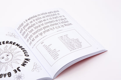 Het dikke doeboek voor zwangere mensen – Invulboek voor aanstaande ouders