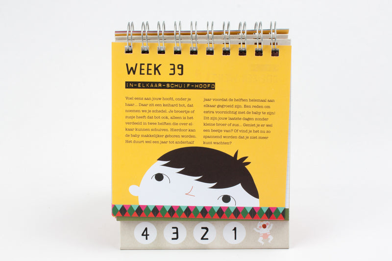 Hester Zitvast - Zwangerschaps Aftelkalender voor Broertjes & Zusjes