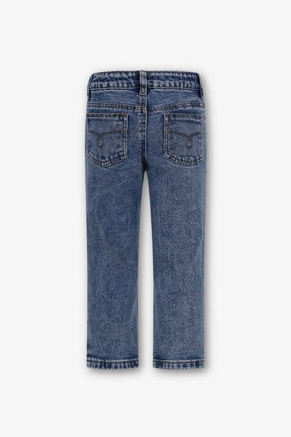 The New Chapter - Riley Denim Broek | Denim